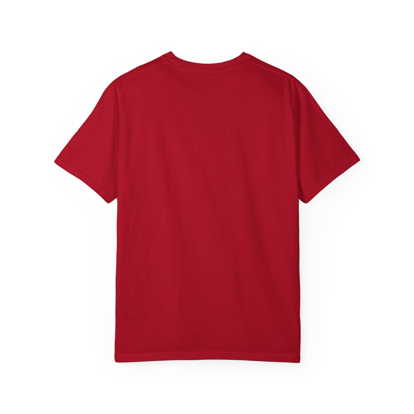 Funny Gorilla T-Shirt - "Me and My 99 Homies Will Wreck Ya". You and 99 gorillas
