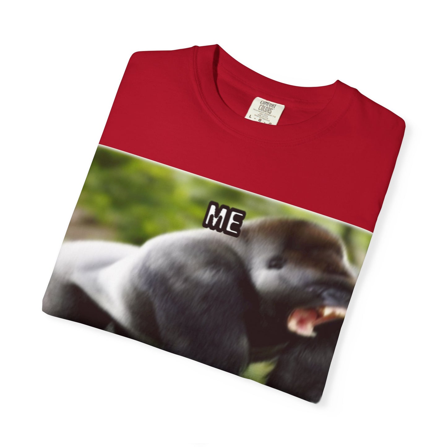 Funny Gorilla T-Shirt - "Me and My 99 Homies Will Wreck Ya". You and 99 gorillas